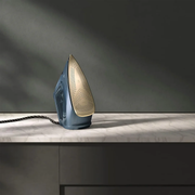 Electrolux Renew 800 Steam Iron